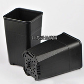 方口黑色磨砂八棱多肉花盆塑料种植玉露生石花工艺加厚型方形盆