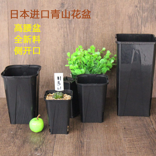 日本进口带插标签简约风多肉花盆