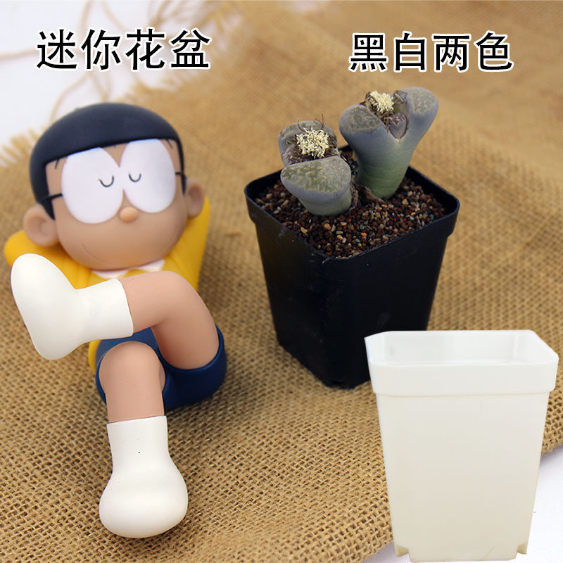 迷你花盆塑料拇指盆掌中宝透气黑方小花盆大棚叶插分株番杏生石花