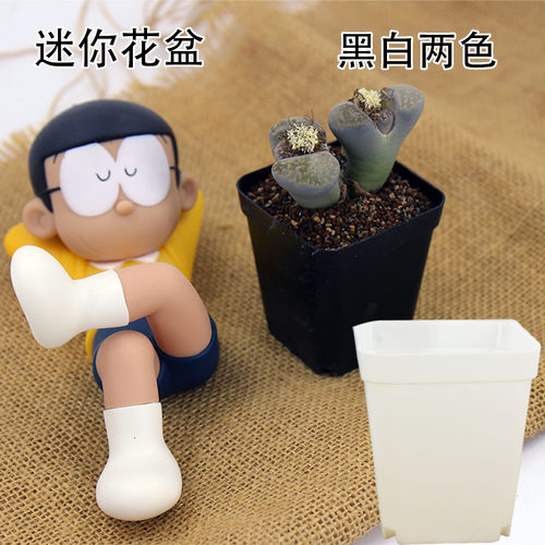 塑料掌中宝透气分株番杏小花盆