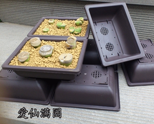 长方形多肉盆仿紫砂塑料盆加厚适合播种育苗叶插盆树脂盆盆景种植
