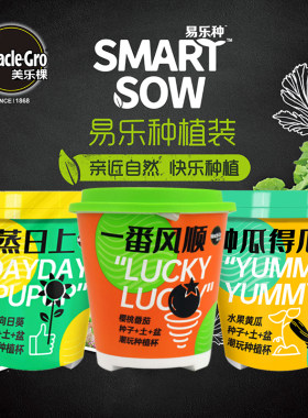 美乐棵育苗种植樱桃萝卜番茄迷你