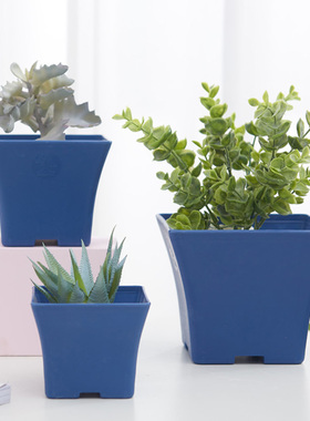 蓝色塑料小方盆节约地方多肉类专用西班牙方盆多肉花盆托盘加厚