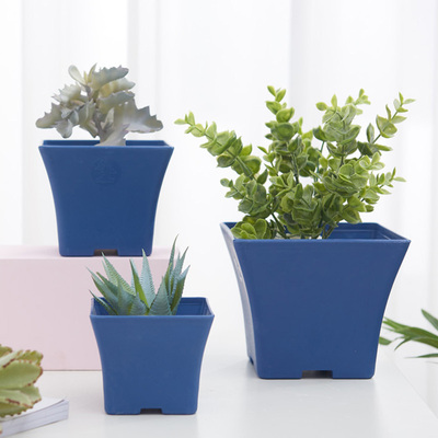 蓝色节约地方多肉类西班牙托盘