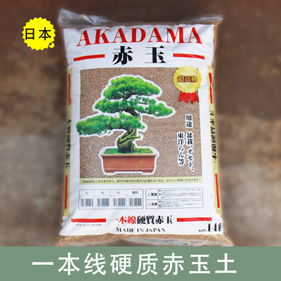 一本线江苏硬质赤玉土