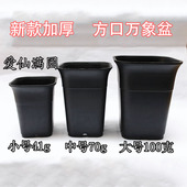 加厚方口万象盆 适合根系深 款 黑色深型多肉植物方盆