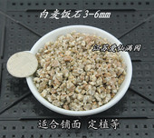 高品质白麦饭石 多肉肉锥铺面播种育苗净化水质改良土壤 硬度高