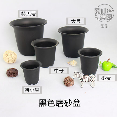 掌柜推荐 矮胖万象盆景天仙人掌多肉植物黑色塑料磨砂盆5种规格