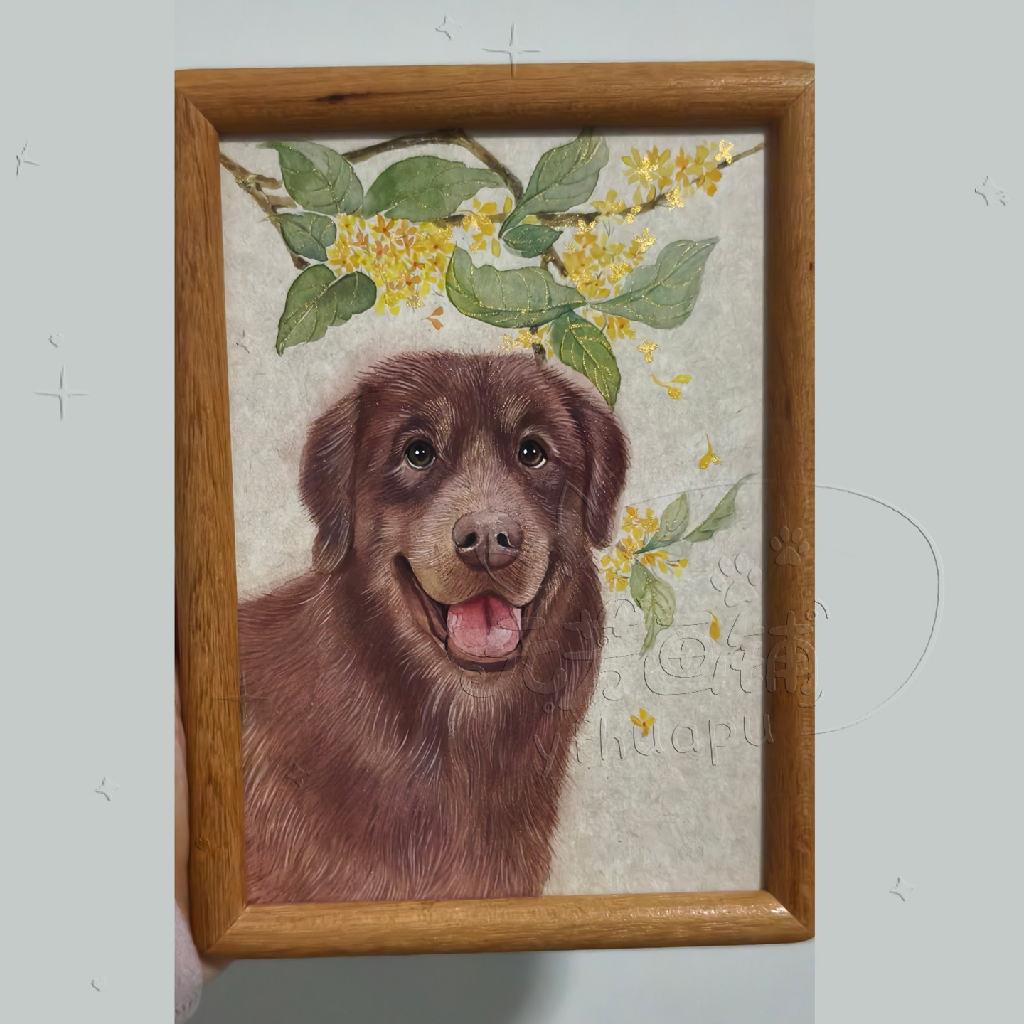 元芳宠物画像定制猫咪狗狗动物头像水彩彩铅油画纯手绘肖像纪念品,宠物/宠物食品及用品,宠物用品定制周边,淘宝优惠券,粉丝福利购,淘宝优惠卷