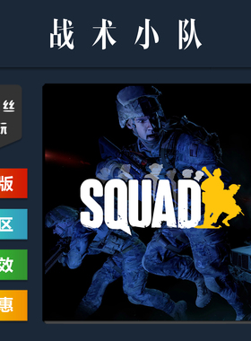steam平台 中文正版联机游戏 战术小队 Squad 激活码 cdk 全DLC