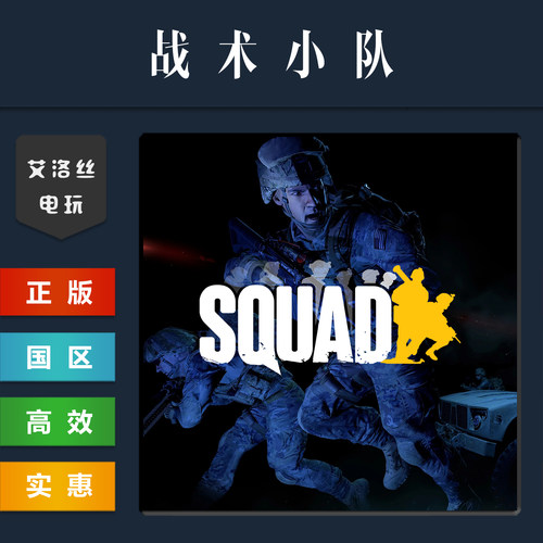 steam正版游戏战术小队Squad