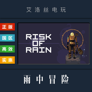 雨中冒险1 Risk 雨中冒险原版 正版 2013 游戏 Rain steam平台