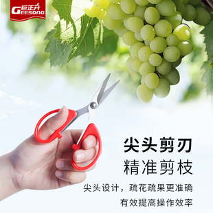 剪刀水果店鲜花兰花剪分苗枝插花叶芽剪拆快递家用小剪刀葡萄专用