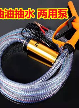 电动抽油泵柴油12V24V48V伏220V抽水机抽油神器小型加油枪油抽子