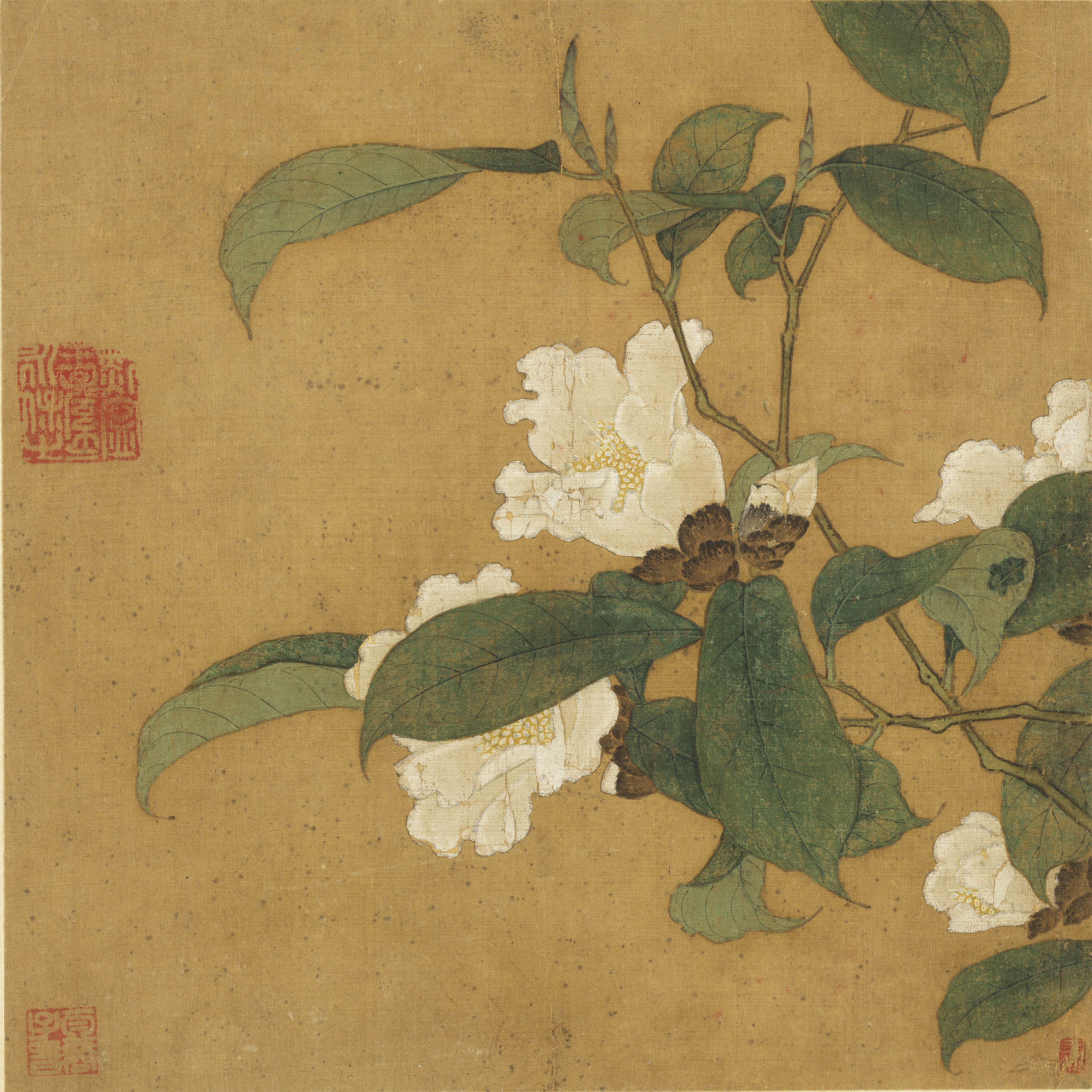宋佚名茶花图29x29cm  古代宋画小品工笔花鸟绘画