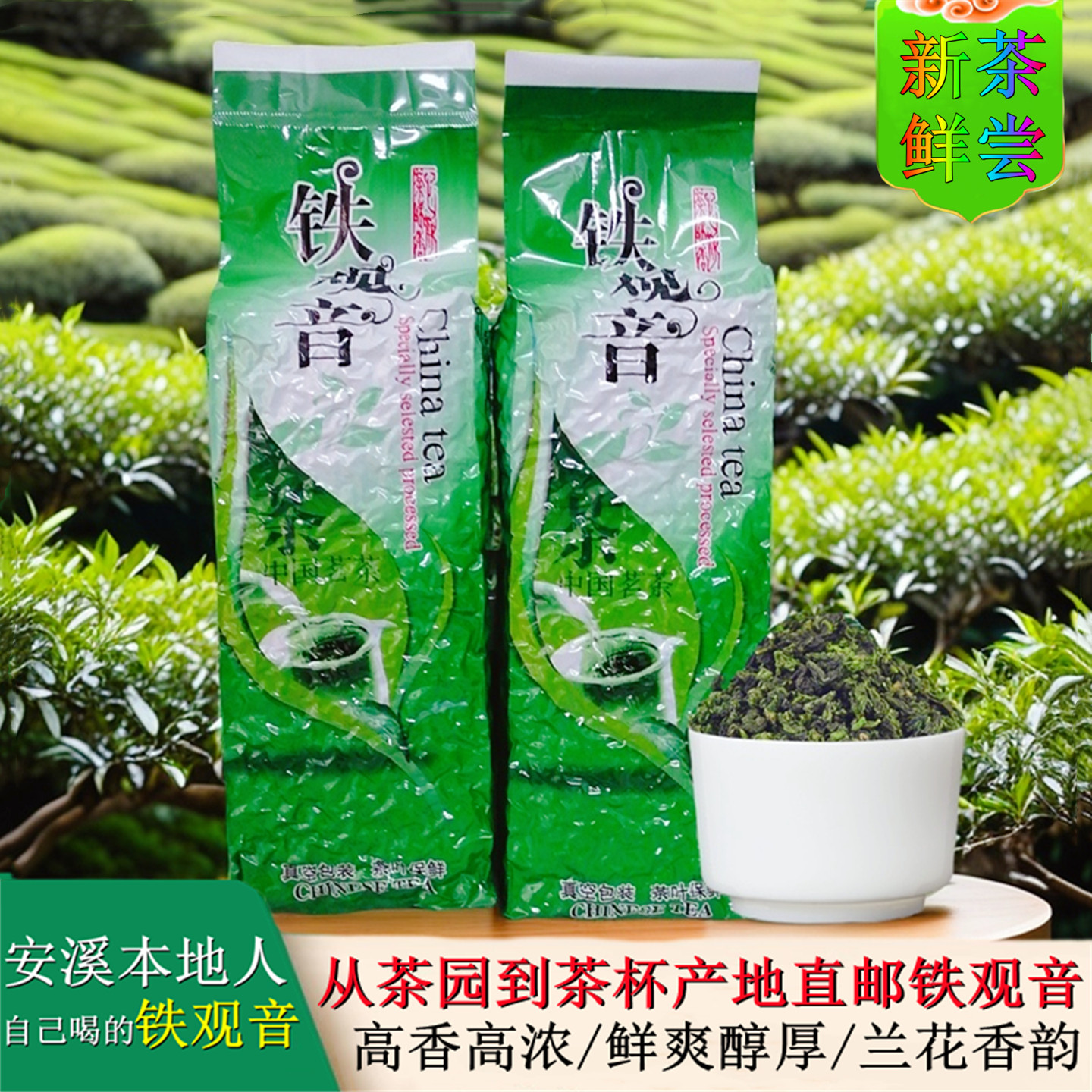 铁观音2026新茶叶兰花香浓香型安溪高山清香茶非特级散装袋装500g