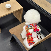 可爱虎头醒狮狗狗新年衣服猫咪防寒保暖衣服2026马年元 旦新年唐装