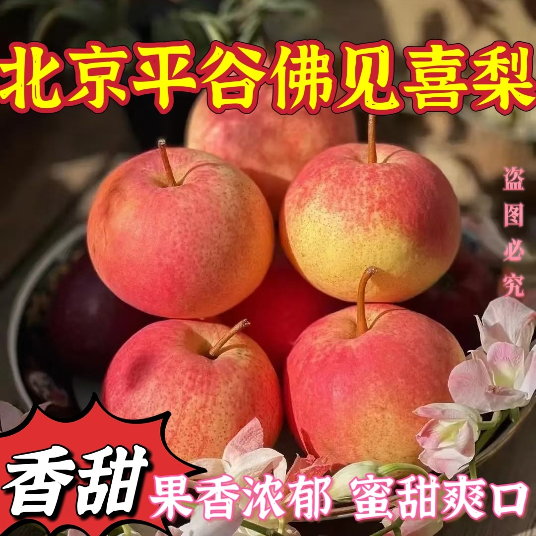 梨北京平谷区佛见喜梨果园直销当季新鲜苹果梨孕妇水果脆甜多汁