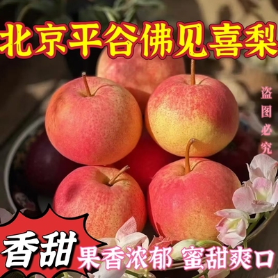 梨北京平谷区佛见喜梨果园直销当季新鲜苹果梨孕妇水果脆甜多汁