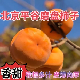 柿子北京平谷区磨盘柿子新鲜采摘软糯多汁当季水果特级整箱包邮