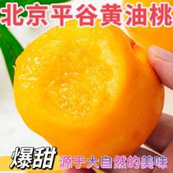 黄油桃北京平谷大桃澳油果园直销现摘现发脆甜多汁当季孕妇水果
