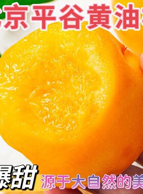 黄油桃北京平谷大桃澳油果园直销现摘现发脆甜多汁当季孕妇水果