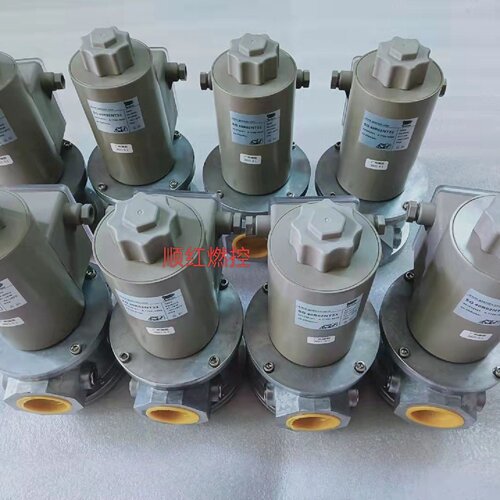 询-施能电磁阀SG15RQ220SG20RQ220SG3