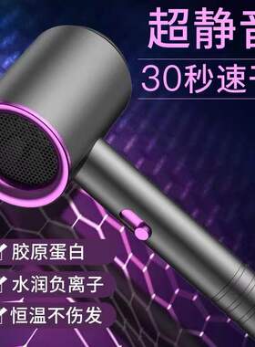 德国电吹风机家用理发店发廊大功