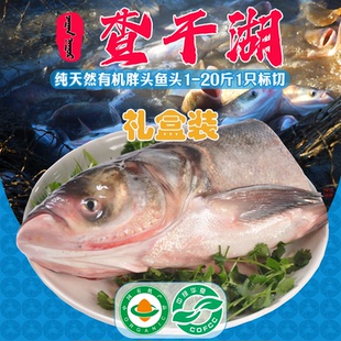 查干湖大鱼头3斤1只标切净膛鲜冻真空锁鲜天然有机特级品质包邮