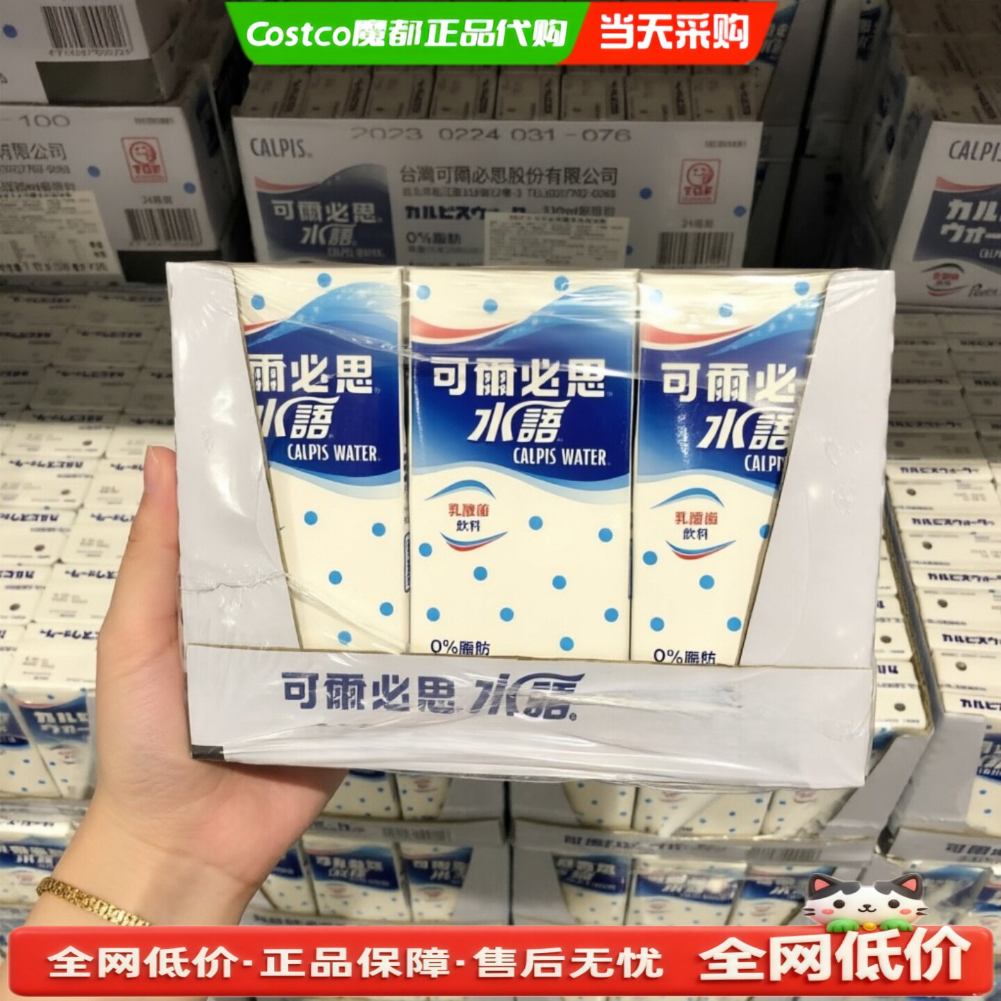Costco开市客代购calpis可尔必思乳酸菌风味饮料250ml*24瓶饮品
