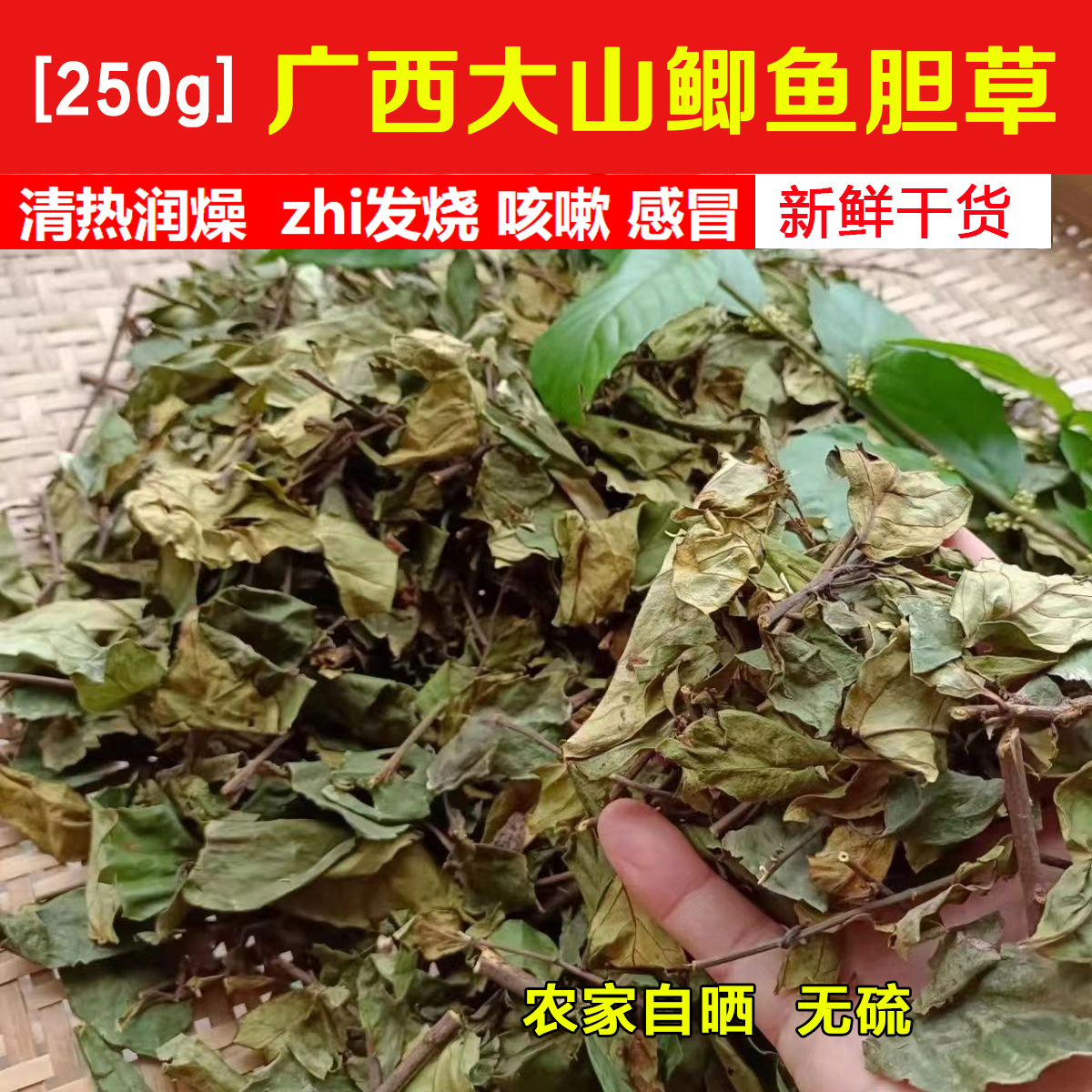 2023深山鲫鱼胆中草药材广西鲫鱼胆草小叔所说的空心花冷饭果岑心