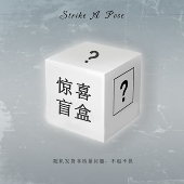 A4硫酸纸磨砂胶片分隔页可DIY手账配件 Ruila 瑕疵胶片