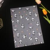 水果熊猫 A4胶片磨砂胶片手帐分隔页可DIY手账配件