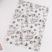 A4胶片硫酸纸磨砂胶片分隔页可DIY手账配件 Ruila 棉之韵