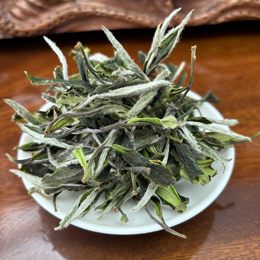 荒野白牡丹 2025磻溪大洋山兰香福鼎白茶明前新茶茶气十足 沈第二