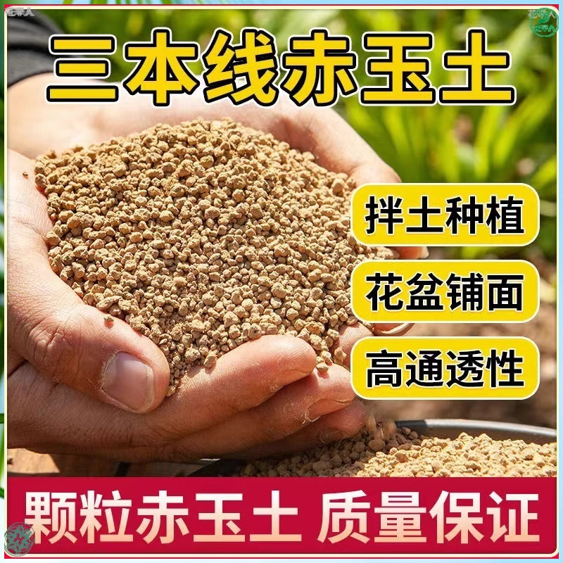 赤玉土三本线多肉专用颗粒土盆栽种植土风化土铺面石多肉营养土
