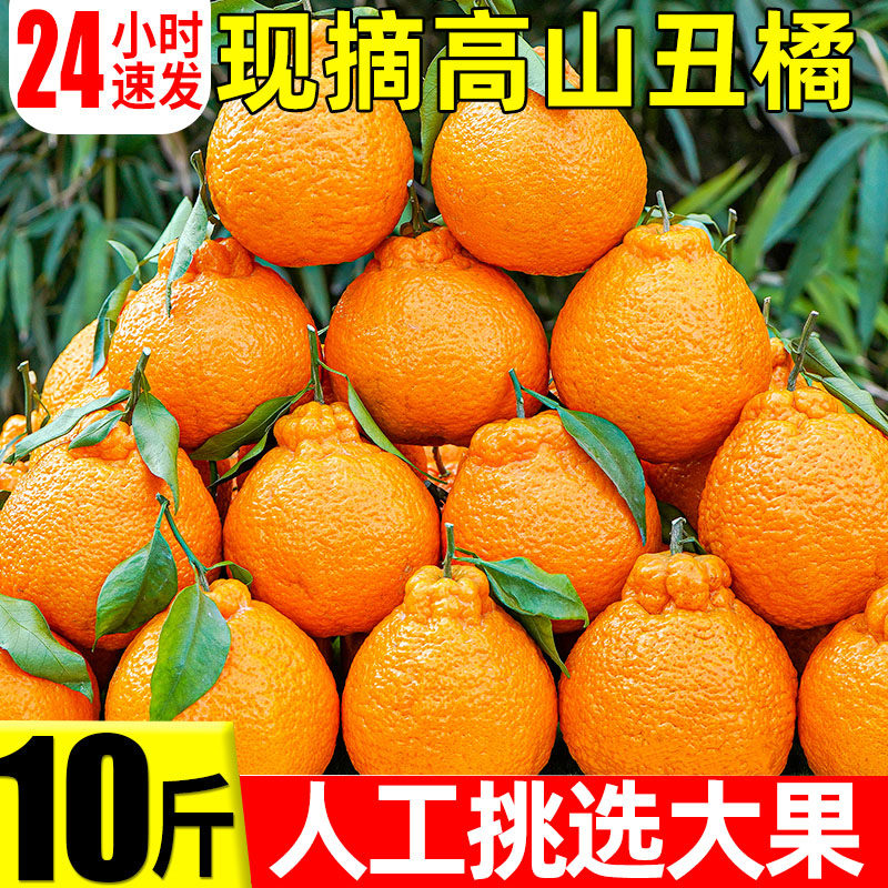 现摘高山丑橘丑八怪橘子10斤耙耙时令应季水果当季新鲜整箱柑橘