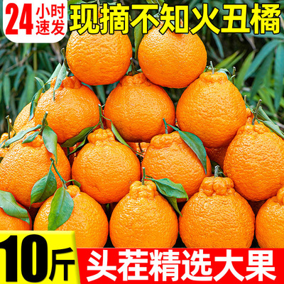 四川不知火丑橘丑八怪橘子10斤耙耙时令应季水果当季新鲜整箱柑橘