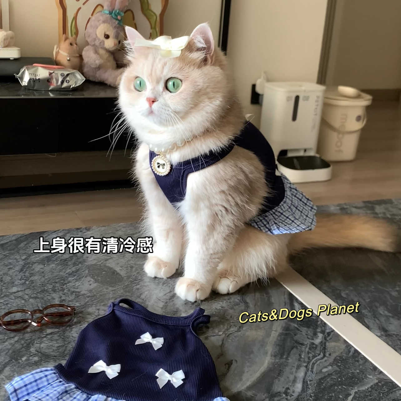 猫咪背心裙新款学院风