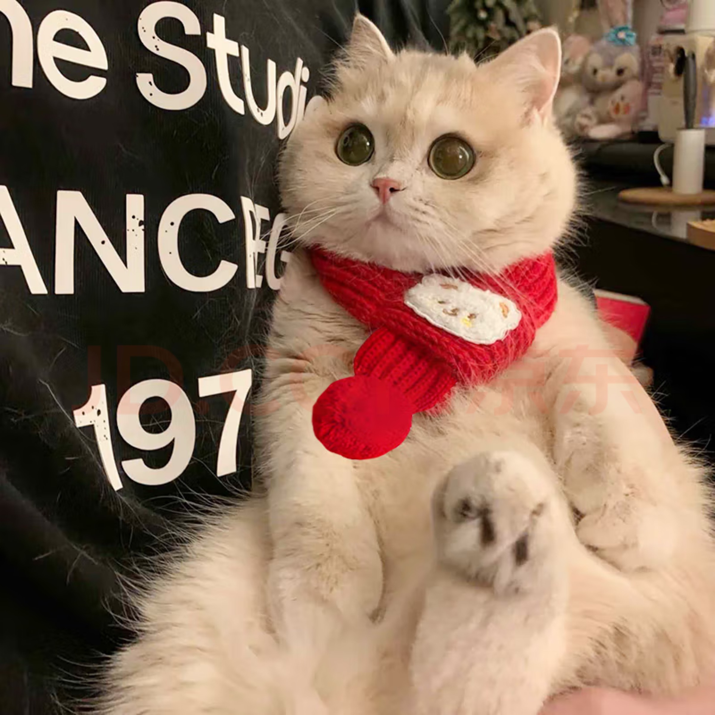 猫咪围脖新年红色围巾