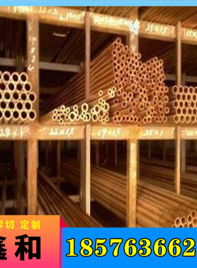 ?销售优质铅黄铜合金HPb62-2铅黄铜板 铅黄铜棒 C36600六角铜棒