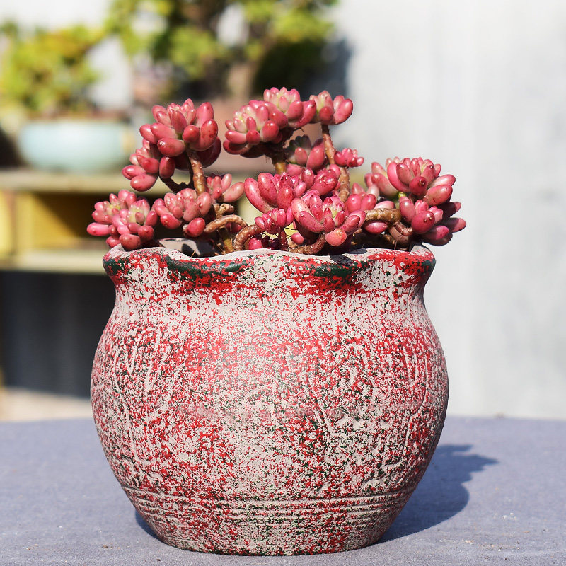 特价复古做旧大口径大号地中海多肉花盆粗陶瓷创意个性做旧肉肉盆,鲜花速递/花卉仿真/绿植园艺,花盆,淘宝优惠券,粉丝福利购,淘宝优惠卷