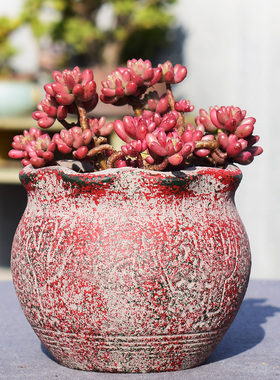 特价复古做旧大口径大号地中海多肉花盆粗陶瓷创意个性做旧肉肉盆