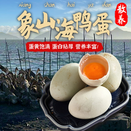 宁波特产象山滩涂散养每日现捡新鲜海鸭蛋原生态正宗土特产鲜鸭蛋