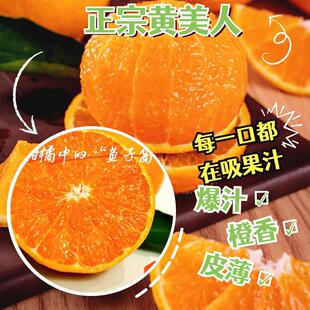 正宗象山黄美人柑橘爱媛68号当季 桔子橘子 新鲜水果时令柑橘应季