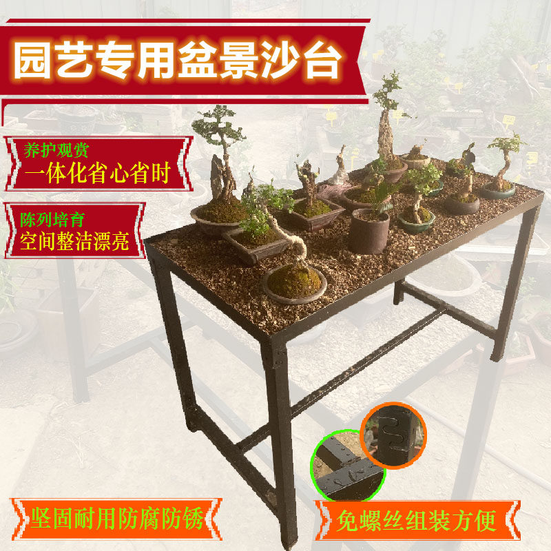 园艺专用盆景沙台养护专用一体大沙盘陈列培育空间整洁保湿