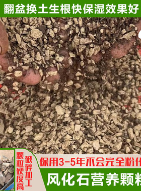 盆景专用土混合颗粒土3.85斤小包翻盆换土用风化石配干松针腐叶