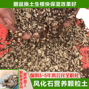 盆景专用土混合颗粒土3.85斤小包翻盆换土用风化石配干松针腐叶