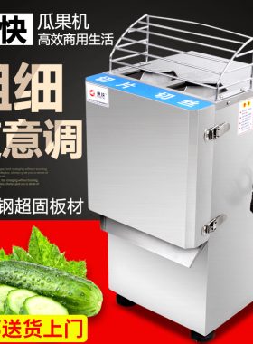 赛快瓜果切丝机 商用多功能切片机 电动土豆萝卜切丝机自动切菜机