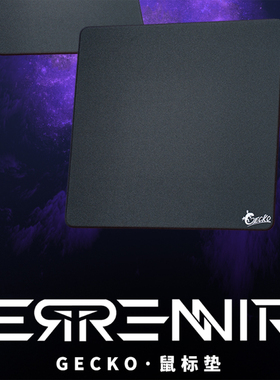 ERRENNIR 壁虎鼠标垫 FPS均衡细面布垫 特殊底胶 csgo瓦罗兰游戏
